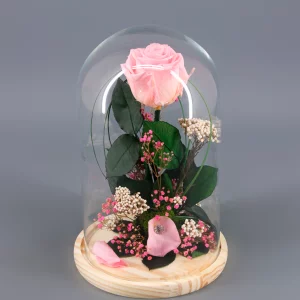 Cúpula de cristal con rosa preservada