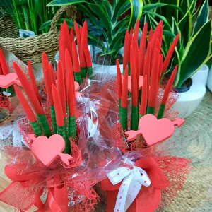 Sansiviera Cilíndrica con maceta cerámica