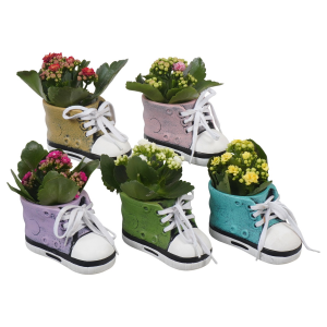 MINI KALANCÖE Zapatillas Cerámica
